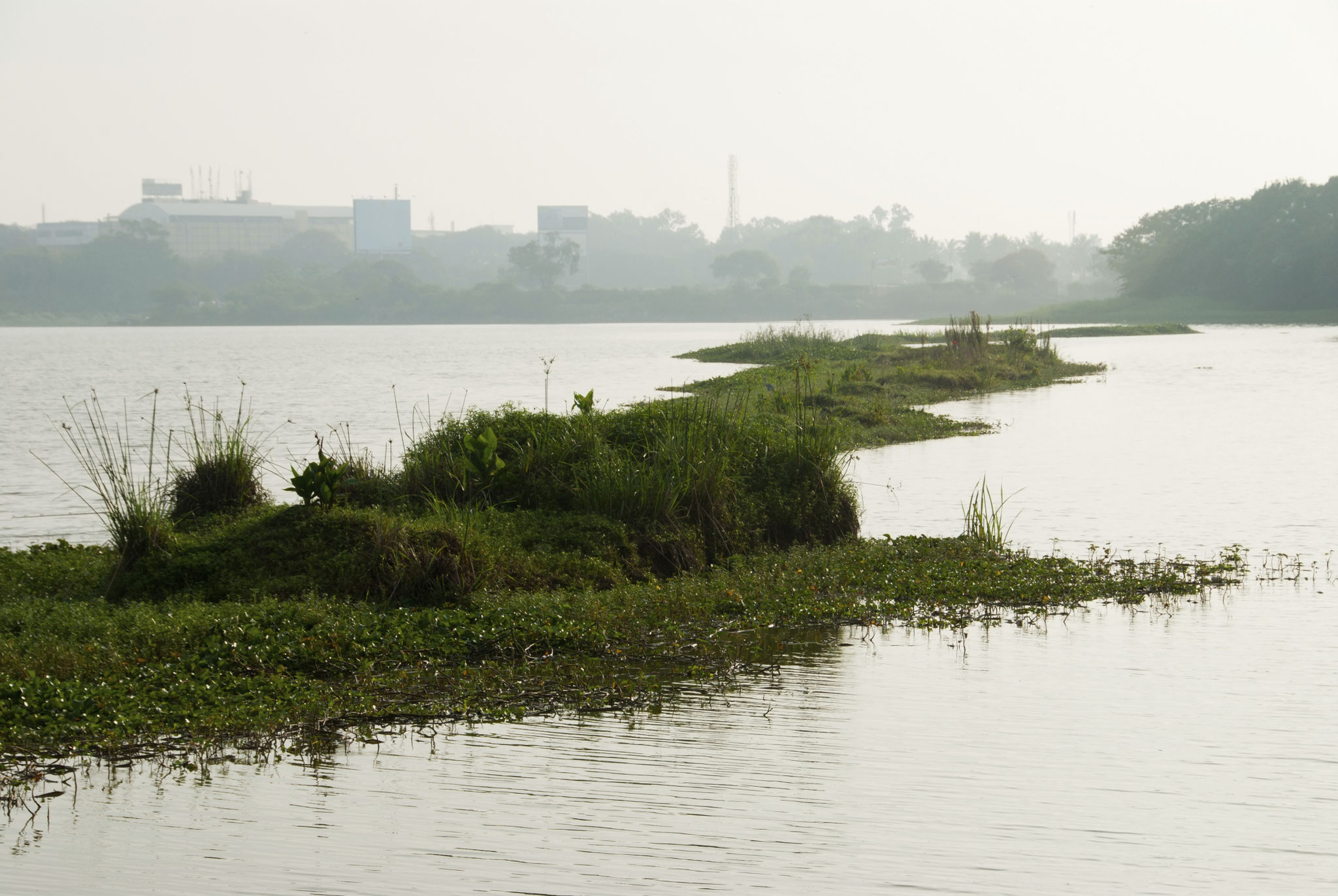 hebbal lake bangalore