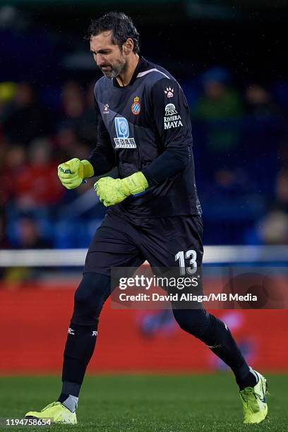 Diego Lopez of RCD Espanyol celebrates a goal during the Liga match between Villarreal CF and RCD Espanyol at Estadio de la Ceramica on January 19,...