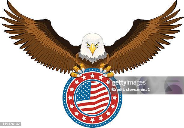 american eagle holding us flag - talon stock illustrations
