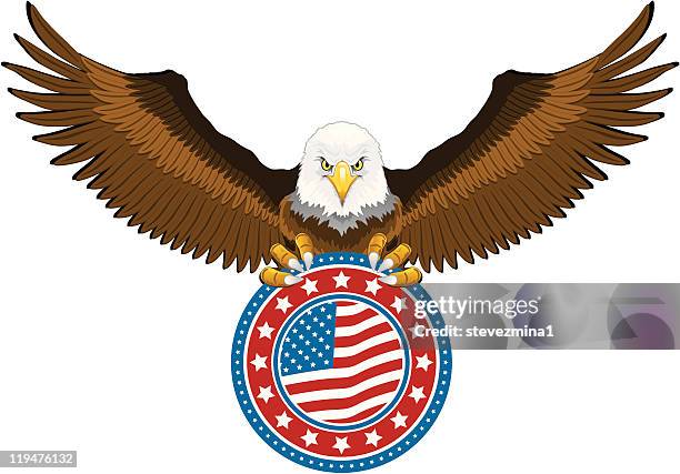 american eagle holding us flag - bald eagle wings stock illustrations
