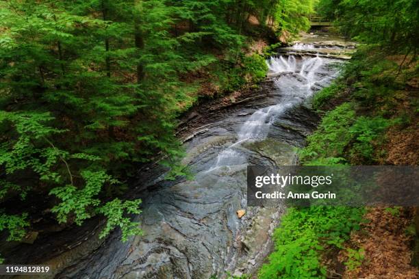 long exposure of bridal veil falls in cuyahoga valley national park, ohio, in summer - ohio nature stock pictures, royalty-free photos & images