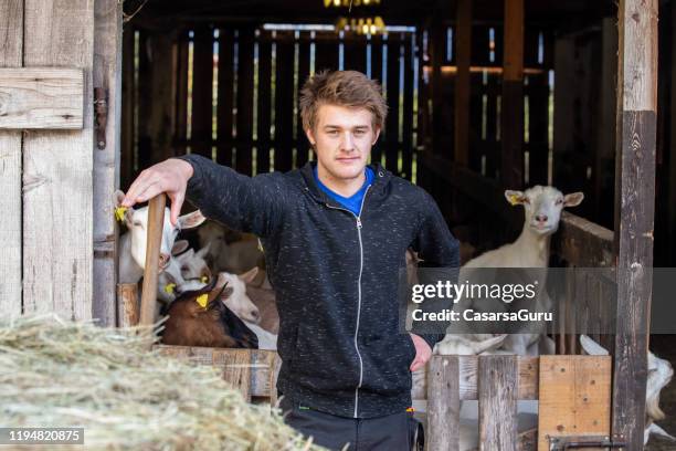 porträt eines jungen ziegenarbeiters, der am stall steht - stock foto - young boy shepherd stock-fotos und bilder