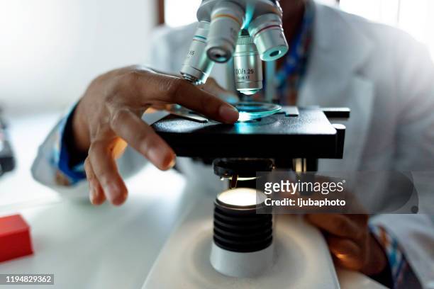 the answers are all in the details - pathologist stock pictures, royalty-free photos & images