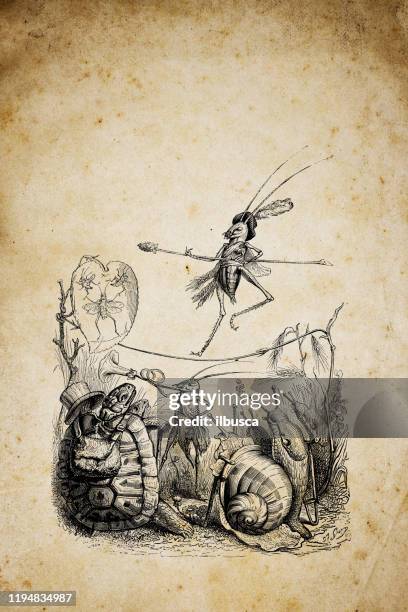 illustrations, cliparts, dessins animés et icônes de illustrations d'animaux humanisés : cirque d'insectes - équilibriste