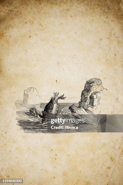 humanized animals illustrations: penguin diving - penguins swimming stock illustrations