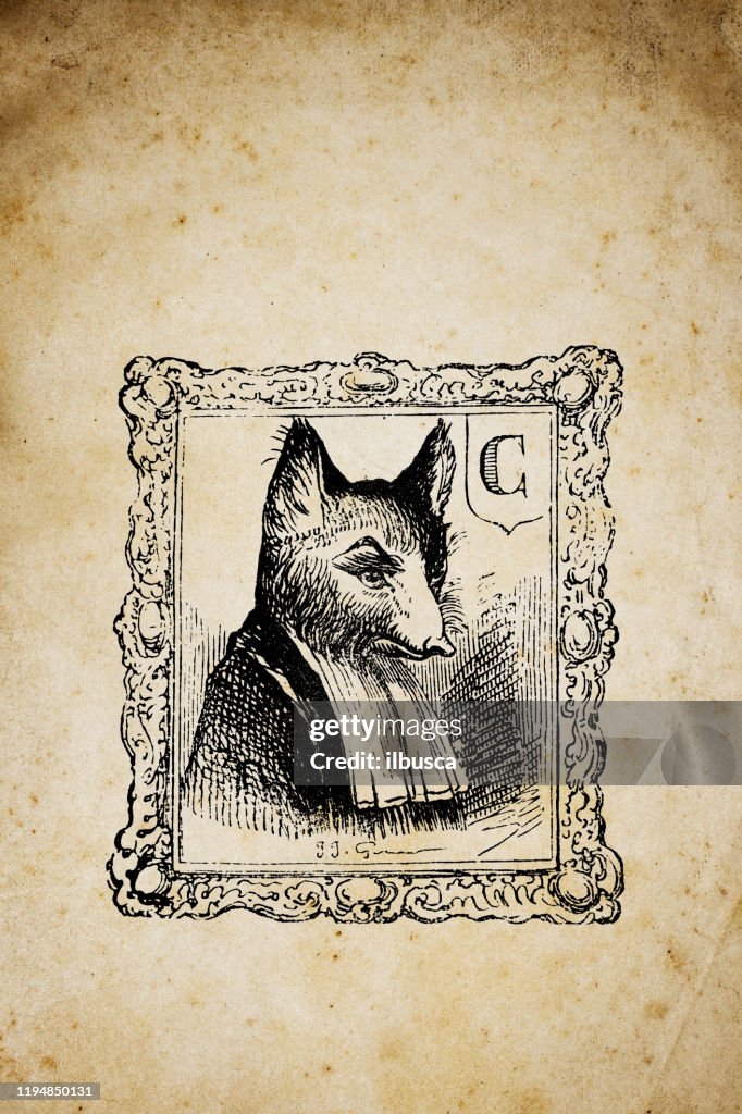 Humanized Fox Humanized Animals Illustrations Fox Portrait High-Res Vector Graphic ...
