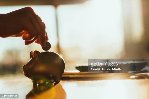 putting a coin in a gold colored piggy bank at home. - finanza ed economia foto e immagini stock