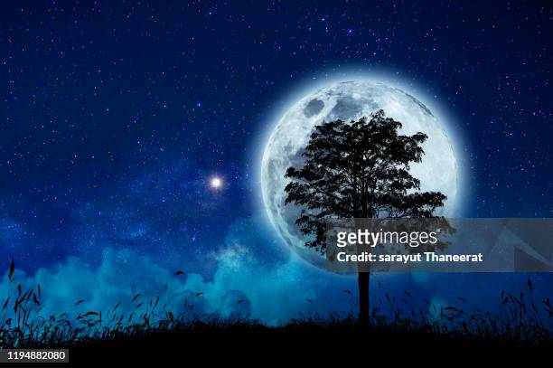 a lonely tree among a large full moon - month ストックフォトと画像