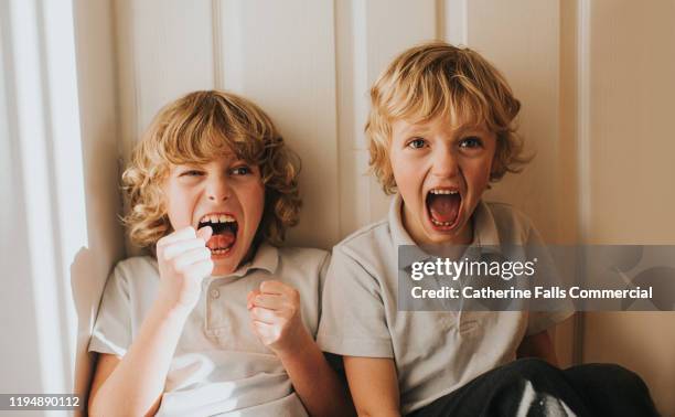 boys having fun - enfant crier photos et images de collection