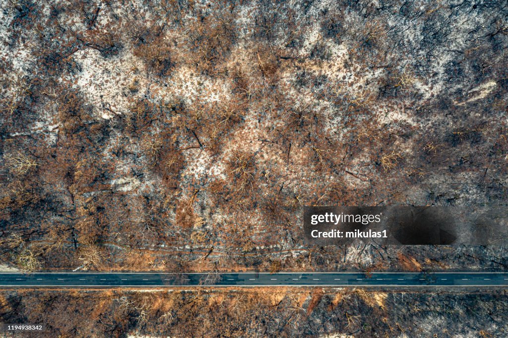 Bush fire destruction