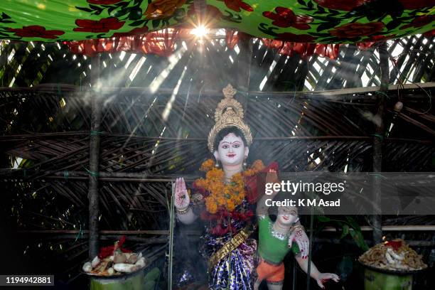 Bobibi 1,022 Sundarbans Forest Stock Photos, High-Res Pictures, and Images ...