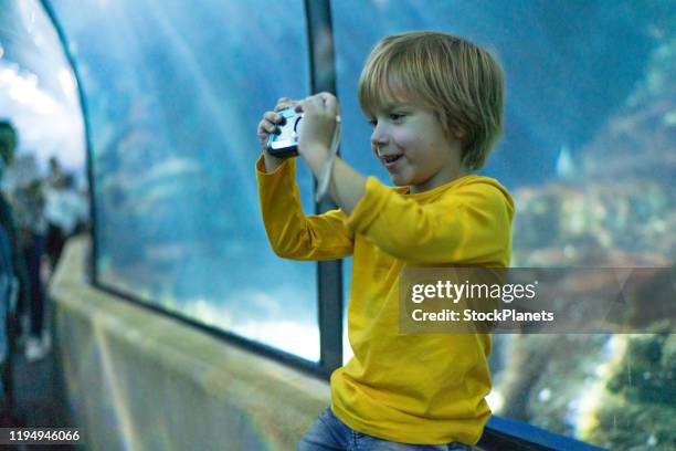 cute boy in public aquarium - aquarium tunnel stock pictures, royalty-free photos & images