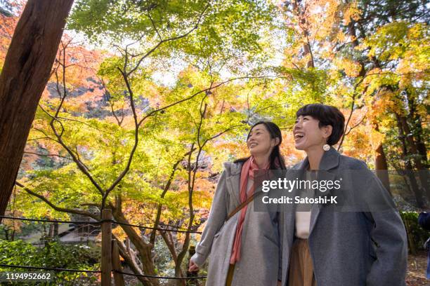 happy female friends looking at autumn foliage - japanese fall foliage stock pictures, royalty-free photos & images