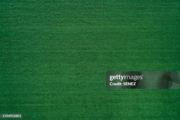 green grass background - putting green stock pictures, royalty-free photos & images