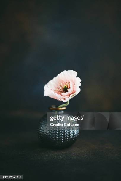 still life background with gray vase and pink poppy - poppies in vase stock pictures, royalty-free photos & images