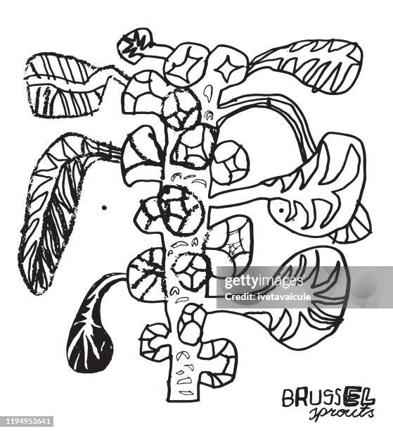 brussel sprouts plant - brussel sprouts stock illustrations