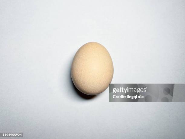 close up of eggs - animal egg stock pictures, royalty-free photos & images