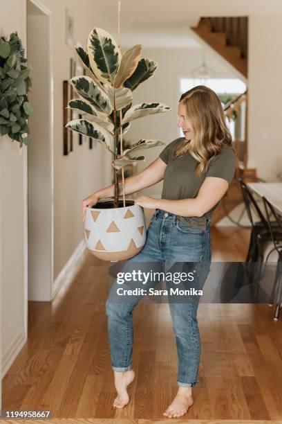 woman carrying large pot of house plant - carrying pot plant stock pictures, royalty-free photos & images