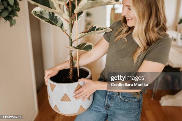 woman carrying large pot of house plant - indoor plants bildbanksfoton och bilder