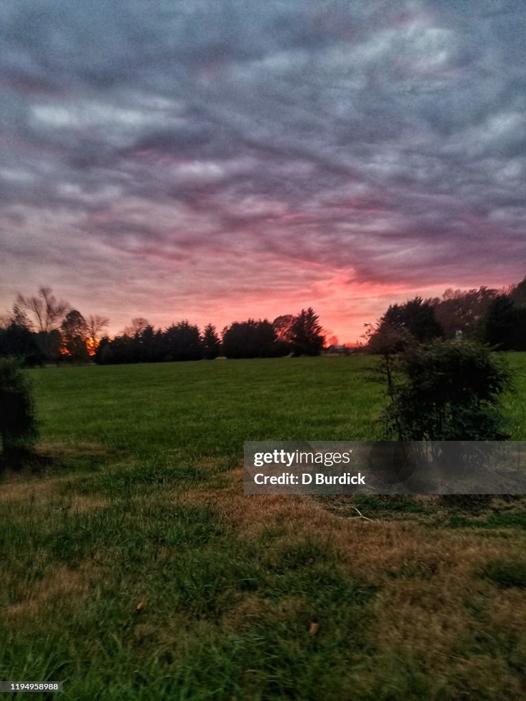 Pink sky at night