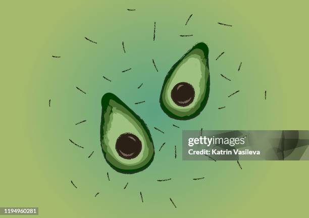 avocado pieces on green modern background - shower curtain stock illustrations