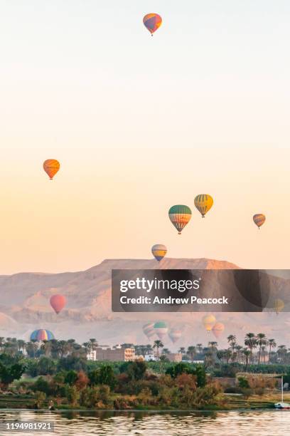 balloons take to the air over the nile river - nile river stock pictures, royalty-free photos & images