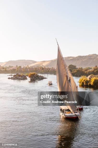 felucca's and tourist boat on the nile at aswan - felucca boat imagens e fotografias de stock