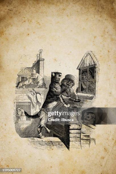 humanized animals illustrations: cats on roof - paris window stock illustrations