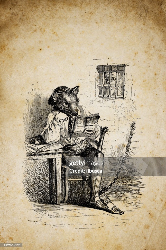 Humanized Fox Humanized Animals Illustrations Fox In Prison High-Res Vector Graphic ...