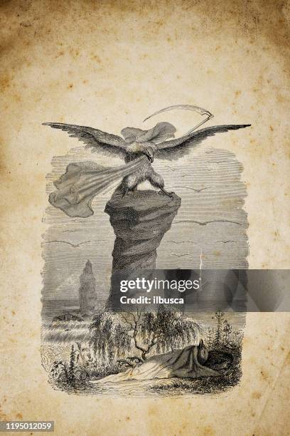 bildbanksillustrationer, clip art samt tecknat material och ikoner med humaniserade djur illustrationer: eagle grim reaper - liemannen
