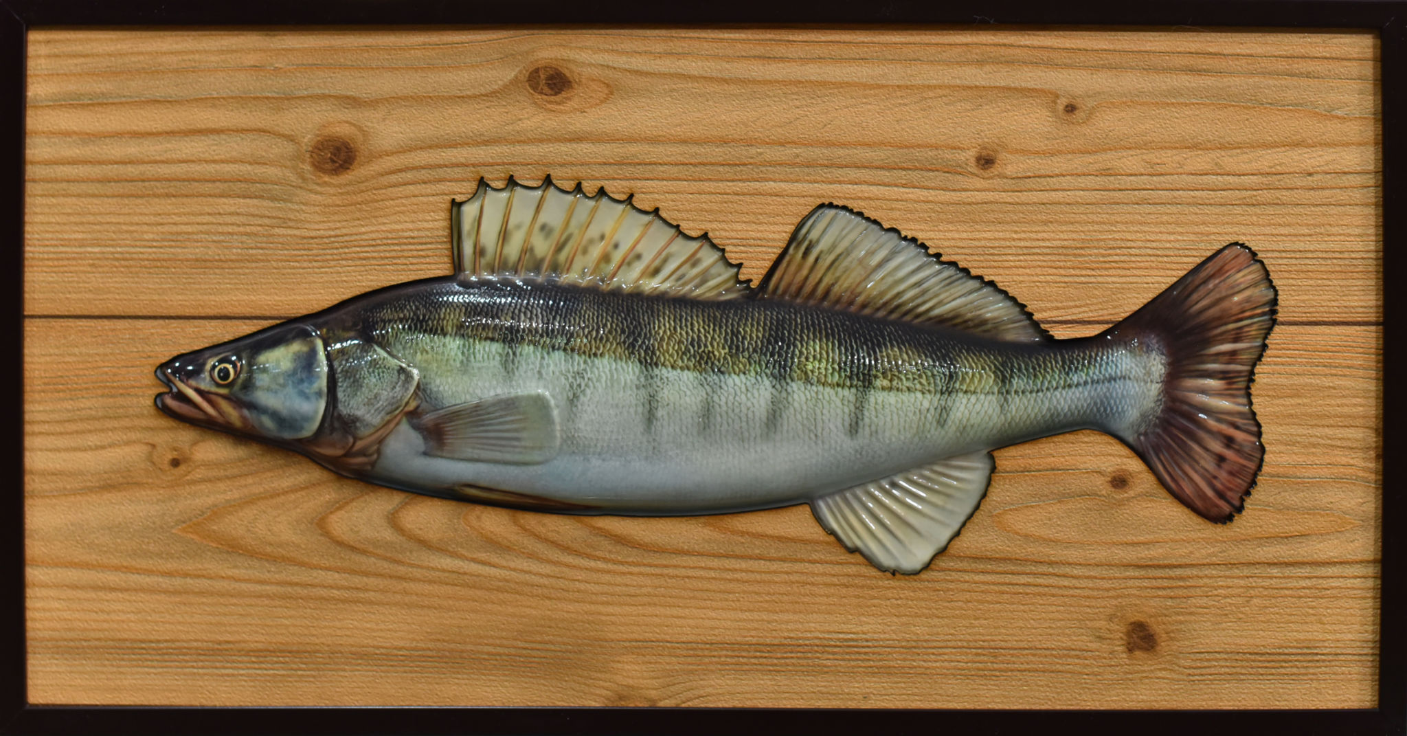 trophy fish