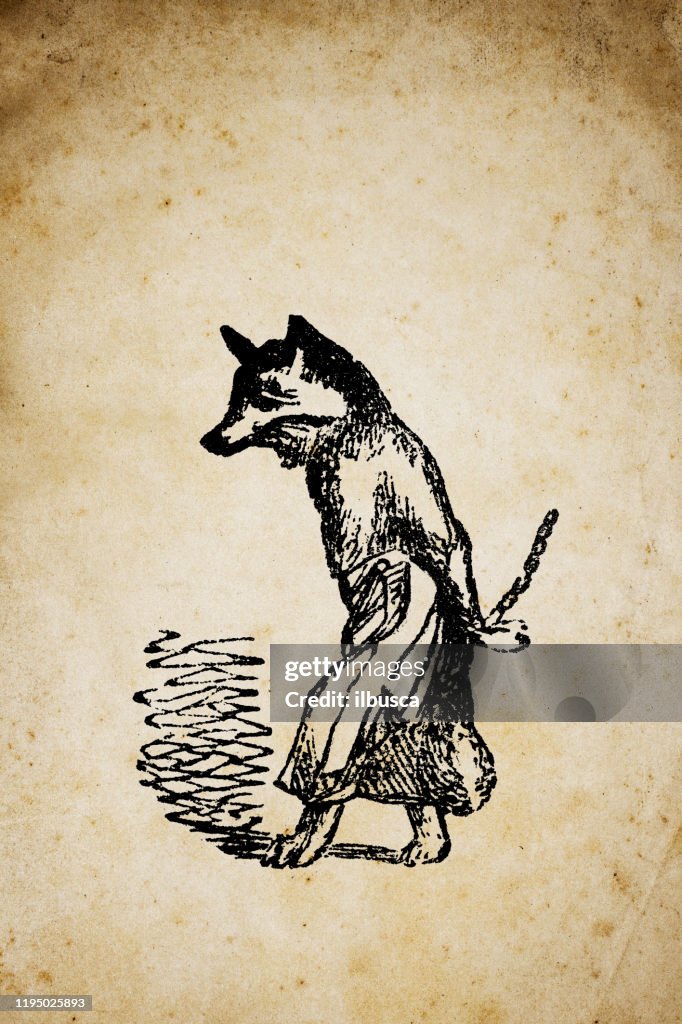 Humanized Fox Humanized Animals Illustrations Fox High-Res Vector Graphic - Getty Images
