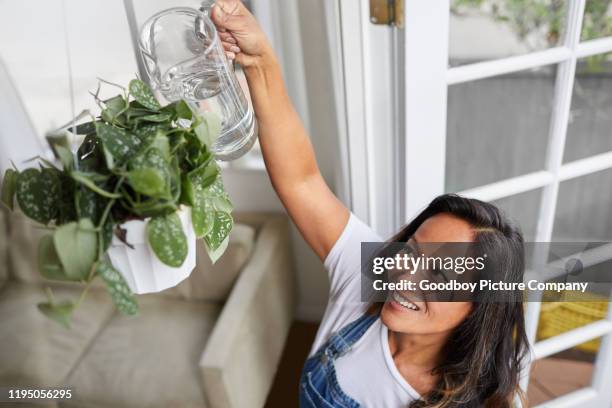 mature woman smiling while watering her hanging plants at home - hawaiian women weaving stock pictures, royalty-free photos & images