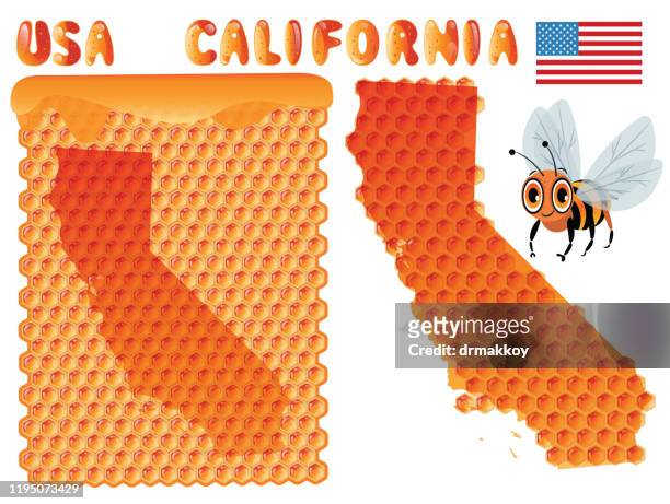 california bee and honey - riverside california stock illustrations