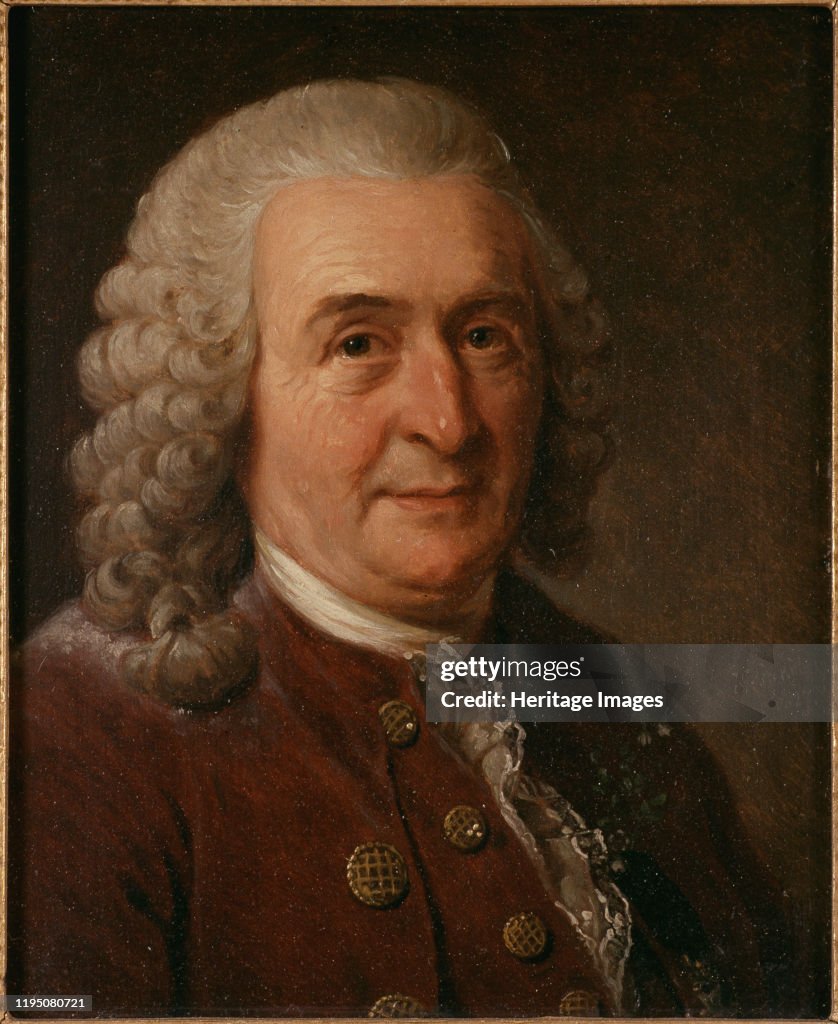 Linnaus Portrait of Carl Linnaeus , 1827. Found in the Collection of... News ...