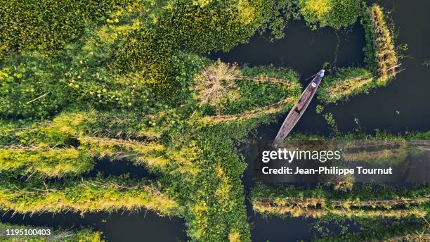 man on a boat navigating in the floating garderns of inle lake, shan state, myanmar - myanmar stock pictures, royalty-free photos & images