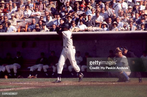 Willie McCovey of the San Francisco Giants swings at the pitch during an MLB game against the Chicago Cubs on June 1, 1960 at Candlestick Park in San...