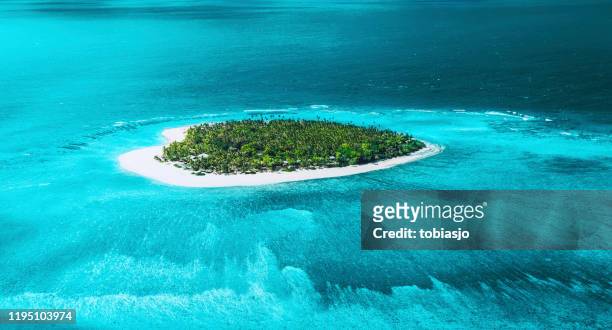 tropical island - fiji stock pictures, royalty-free photos & images