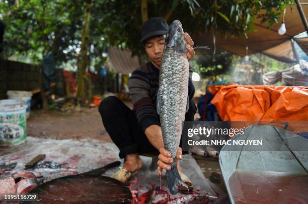 Man prepares a carp fish for cooking in a claypot in Ha Nam province on January 21, 2020 ahead of the Lunar New Year. The braised fish is a popular...