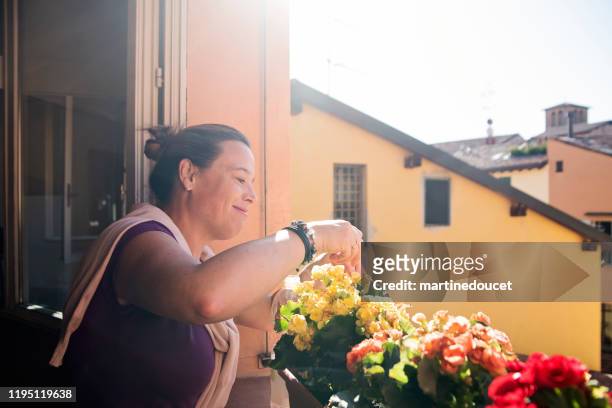 mature woman gardening in her appartement. - expatriate stock pictures, royalty-free photos & images