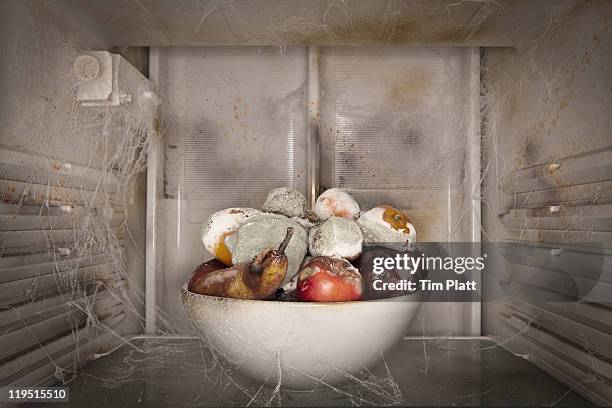 bowl of rotting fruit in a dirty fridge. - rotting stockfoto's en -beelden