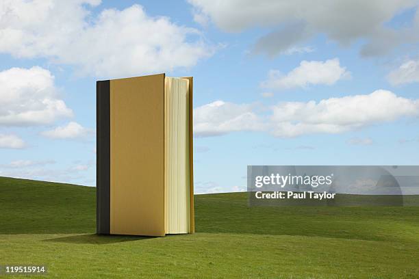 large book in field - roman landscapes stockfoto's en -beelden