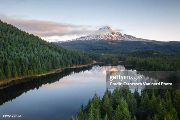 mt hood and trillium lake, government camp, oregon, usa. - cascade range stock pictures, royalty-free photos & images