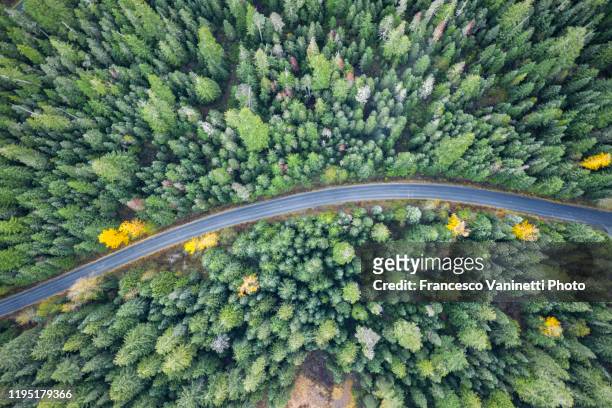 forest and road from above, mt hood national park, oregon, usa. - mt hood national forest - fotografias e filmes do acervo