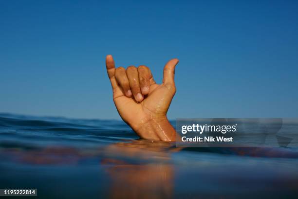 close up male surfer gesturing shaka sign in ocean - shaka sign stock pictures, royalty-free photos & images