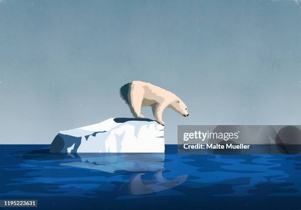 ilustrações, clipart, desenhos animados e ícones de polar bear fishing from on top of iceberg - derreter