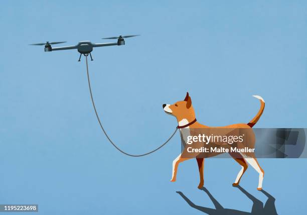 drone taking dog for walk on leash - one animal stock illustrations