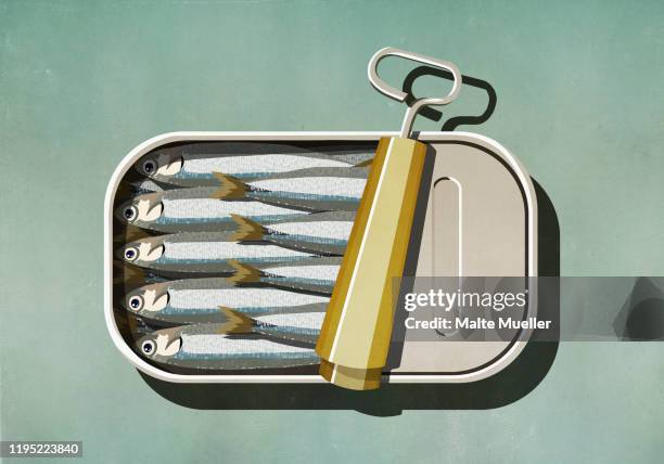 ilustraciones, imágenes clip art, dibujos animados e iconos de stock de open can of sardines - sardine can