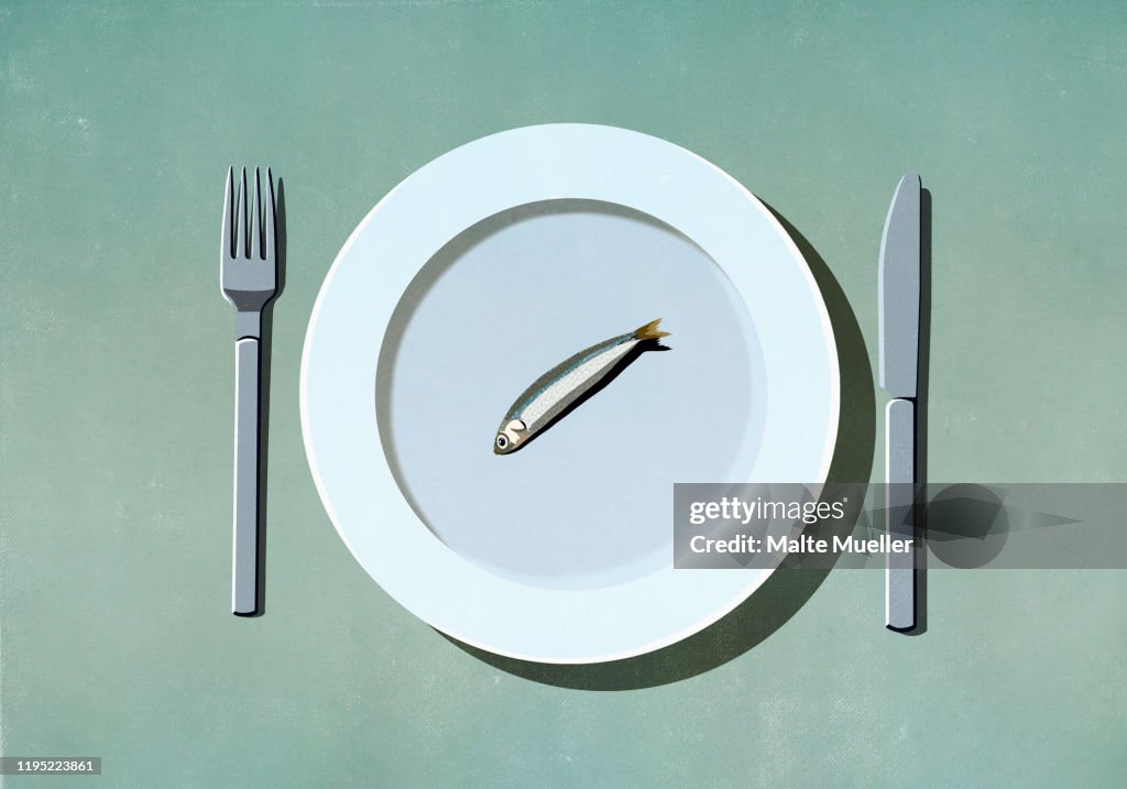 Single sardine on plate