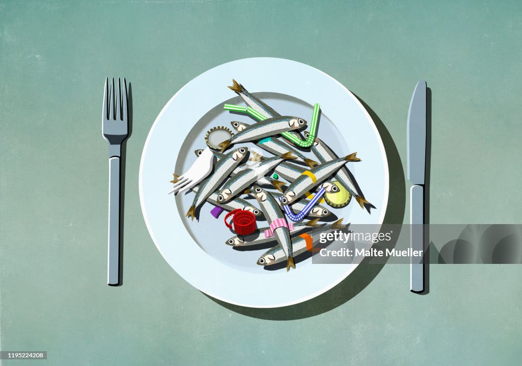 Sardines, plastic straws and pollution on plate